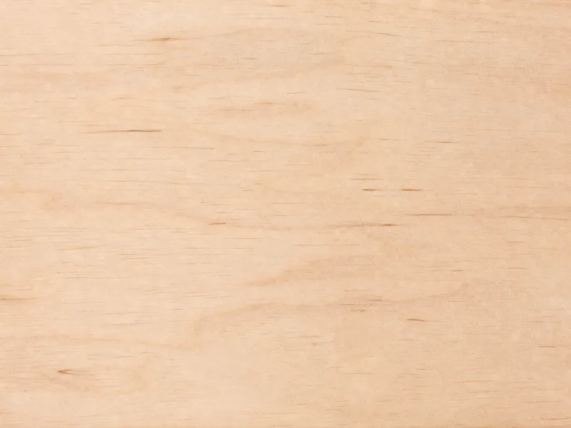 Holzmaserung Birke