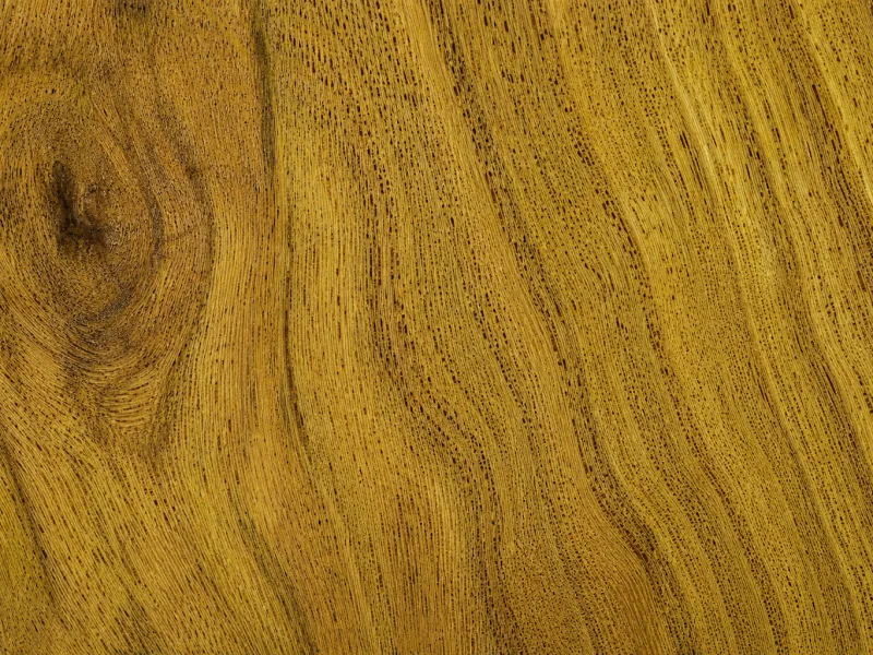 Holzmaserung Robinie