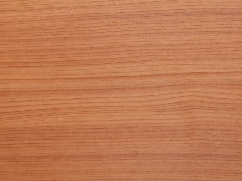 Holzmaserung Zeder